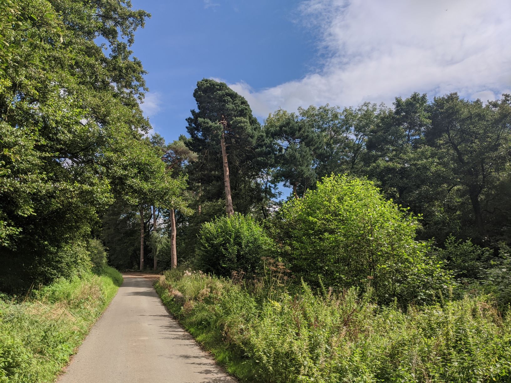 Mill Lane, August 24th